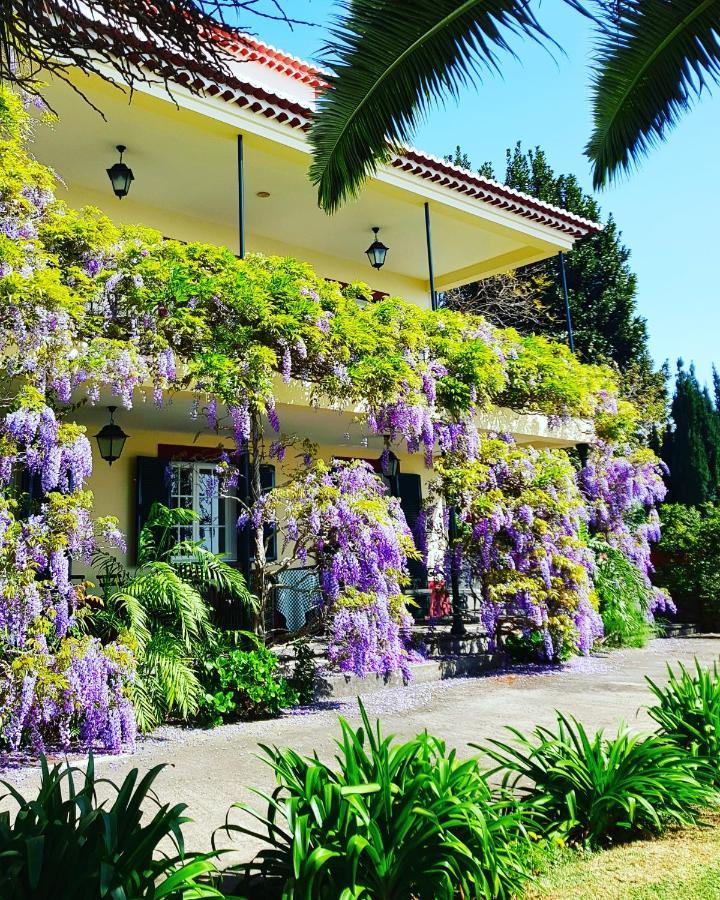Quinta Do Cabouco Hotell Ribeira Brava Exteriör bild