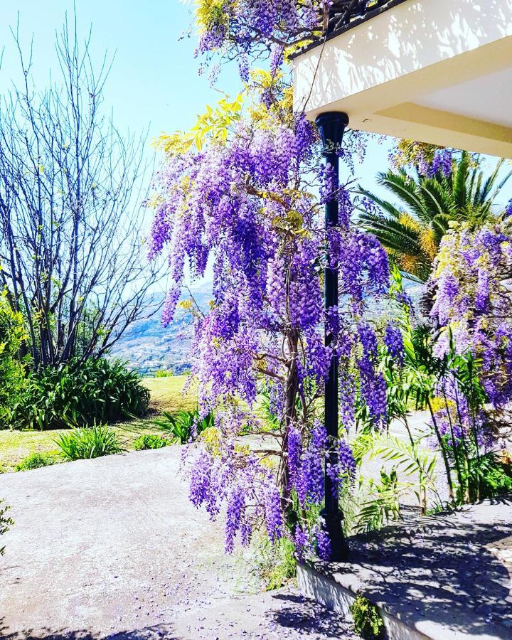 Quinta Do Cabouco Hotell Ribeira Brava Exteriör bild
