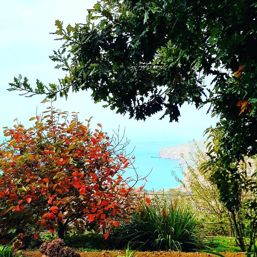 Quinta Do Cabouco Hotell Ribeira Brava Exteriör bild