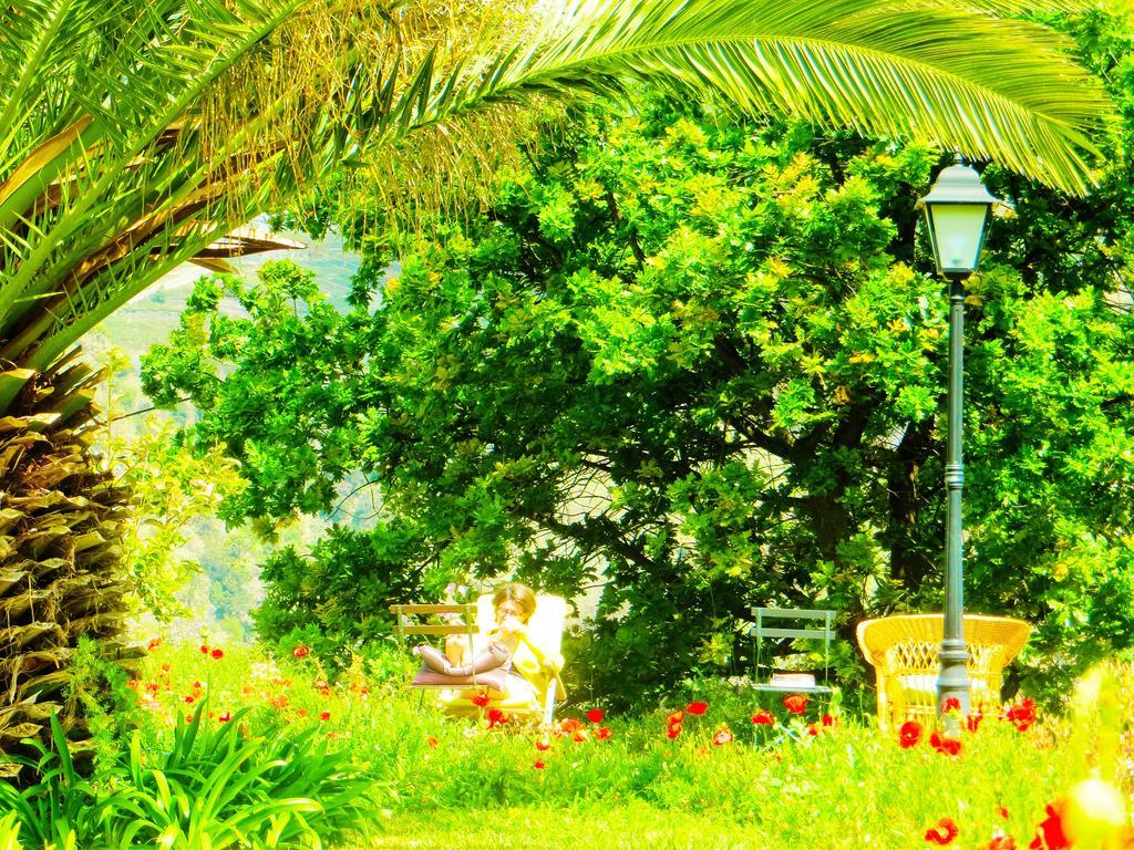Quinta Do Cabouco Hotell Ribeira Brava Exteriör bild