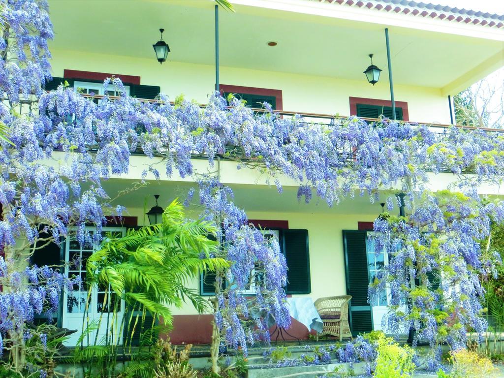 Quinta Do Cabouco Hotell Ribeira Brava Exteriör bild